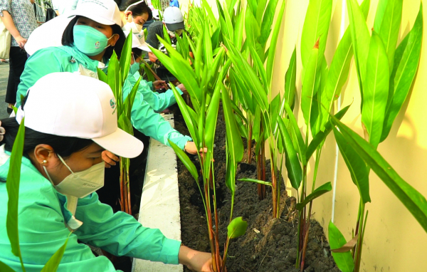 Người dân Quận 6, TP. Hồ Chí Minh trồng cây xanh, góp phần cải thiện môi trường sống. Nguồn: ITN